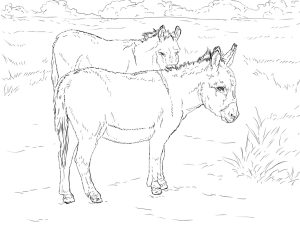 Tô màu 2 Con Lừa dễ thương cho bé