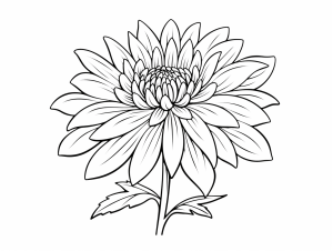 Tô màu Bông Hoa Cúc cho bé tập tô