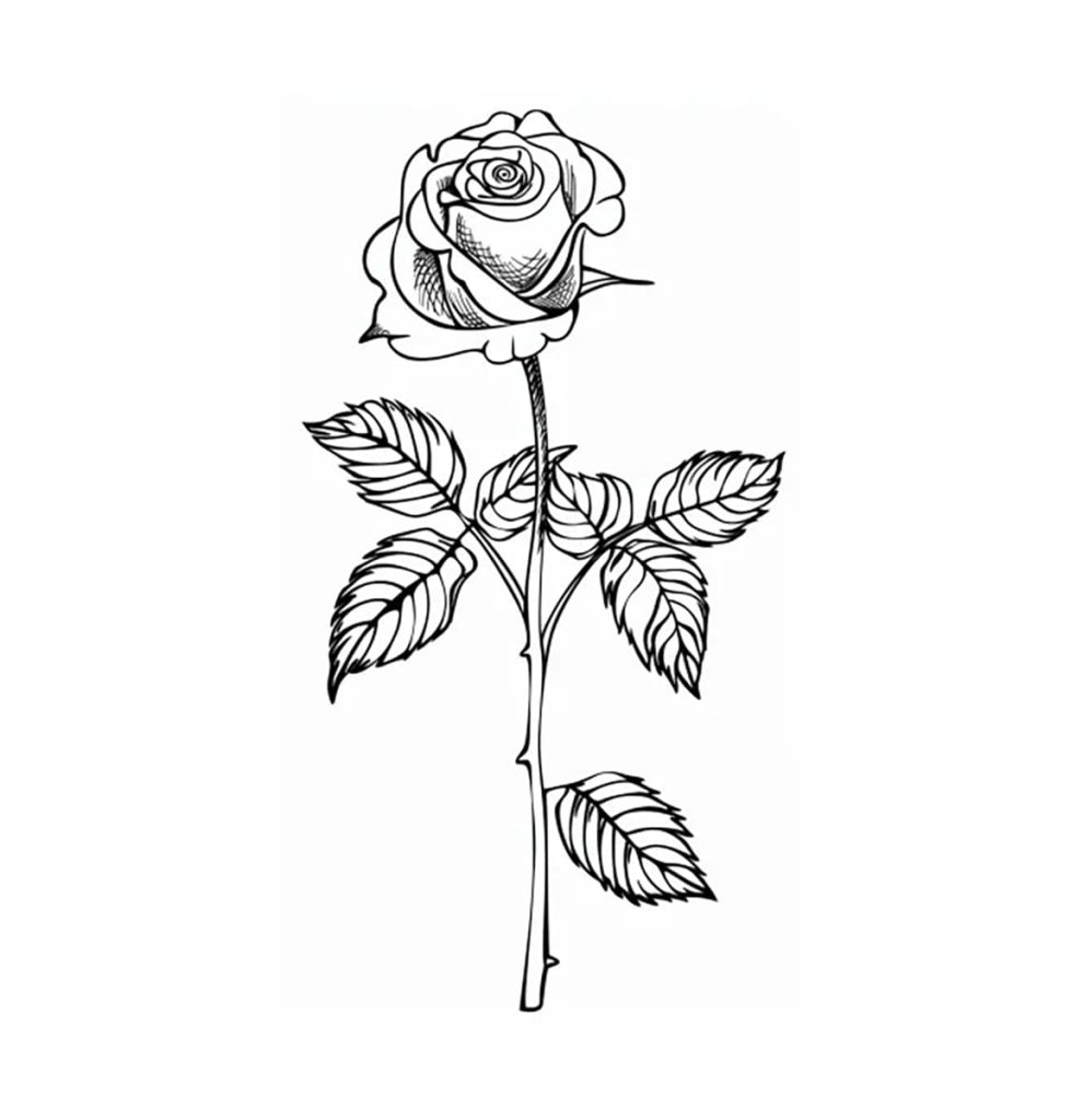 Tô màu Bông Hoa Hồng Nhỏ 1 Tô màu Bông Hoa Hồng Nhỏ giúp bé rèn luyện khả năng tô màu
