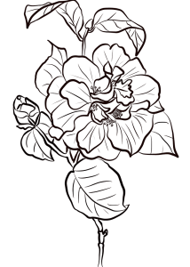 Tô màu bông hoa trà đỏ cho bé tập tô