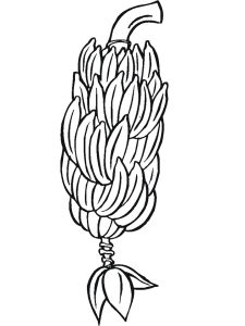 Tô màu buồng chuối dễ thương cho bé