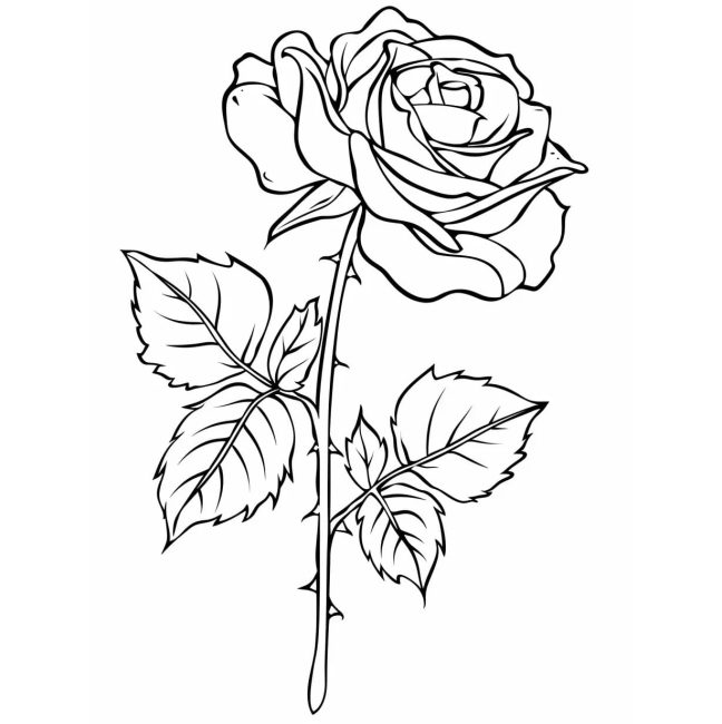 Tô màu Cành Hoa Hồng Lớn giúp bé rèn luyện khả năng tô màu