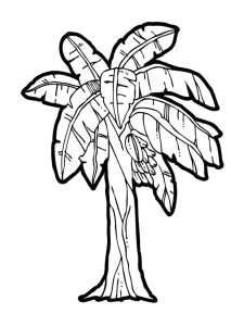 Tô màu Cây Chuối Cao giúp bé rèn luyện khả năng tô màu