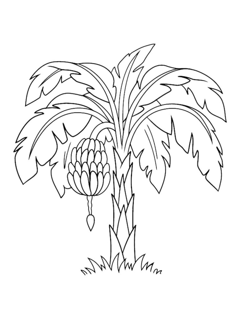 Tô màu Cây Chuối Trong Vườn 1 Tô màu Cây Chuối Trong Vườn cho bé tập tô