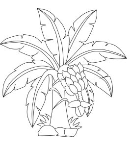 Tô màu Cây Chuối Xanh dễ thương cho bé