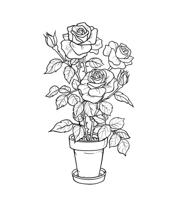 Tô màu Chậu Hoa Hồng cho bé tập tô