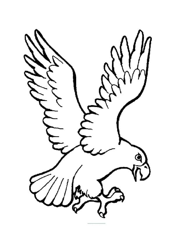 Tô màu Chim Đại Bàng Đang Bay 1 Tô màu Chim Đại Bàng Đang Bay giúp bé rèn luyện khả năng tô màu
