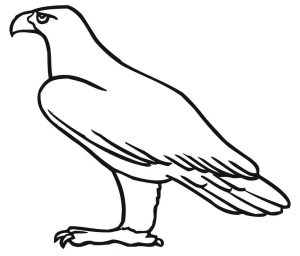 Tô màu Chim Đại Bàng Đơn Giản cho bé tập tô