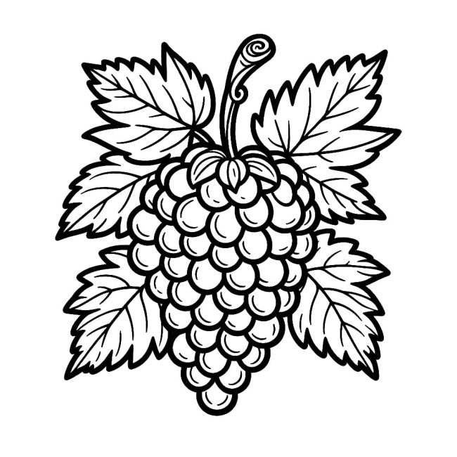 Tô màu Chùm Nho Nhiều Quả giúp bé rèn luyện khả năng tô màu