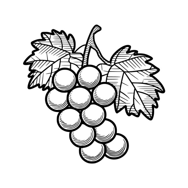 Tô màu Chùm Nho Nhỏ giúp bé rèn luyện khả năng tô màu