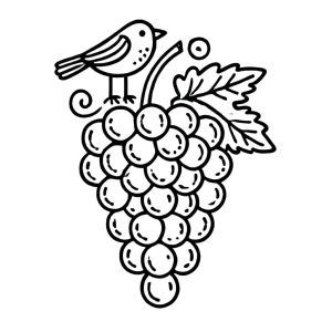 Tô màu Chùm Nho Và Con Chim dễ thương cho bé