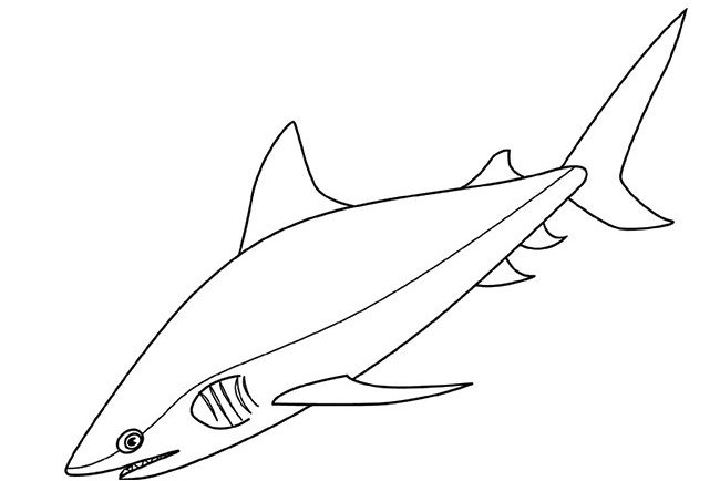 Tô màu con cá mập bò 1 Tô màu con cá mập bò cho bé tập tô