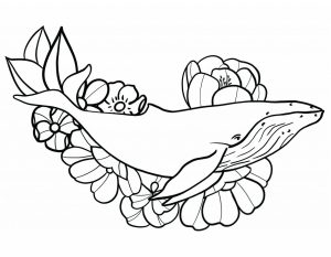 Tô màu Con Cá Voi Lưng Gù giúp bé rèn luyện khả năng tô màu