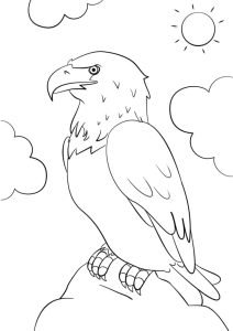 Tô màu Con Chim Đại Bàng dễ thương cho bé