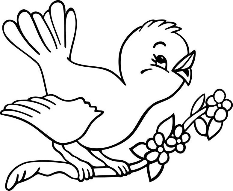 Tô màu con chim đậu trên cành cây 1 Tô màu con chim đậu trên cành cây giúp bé rèn luyện khả năng tô màu