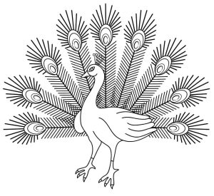 Tô màu Con Công Lộng Lẫy cho bé tập tô