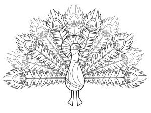 Tô màu Con Công Nhỏ Dễ Thương giúp bé rèn luyện khả năng tô màu