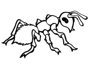 Tô màu Con Kiến Tí Hon cho bé tập tô