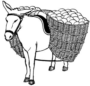 Tô màu Con Lừa chở Hàng giúp bé rèn luyện khả năng tô màu