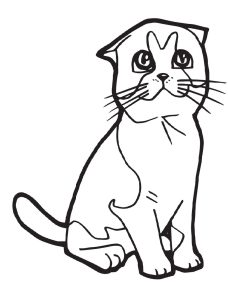 Tô màu Con Mèo Buồn giúp bé rèn luyện khả năng tô màu