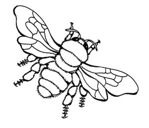 Tô màu Con Ong 1 giúp bé rèn luyện khả năng tô màu