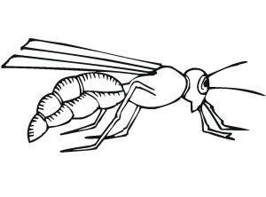 Tô màu Con Ong 3 dễ thương cho bé