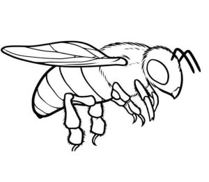 Tô màu Con Ong Đang Bay cho bé tập tô