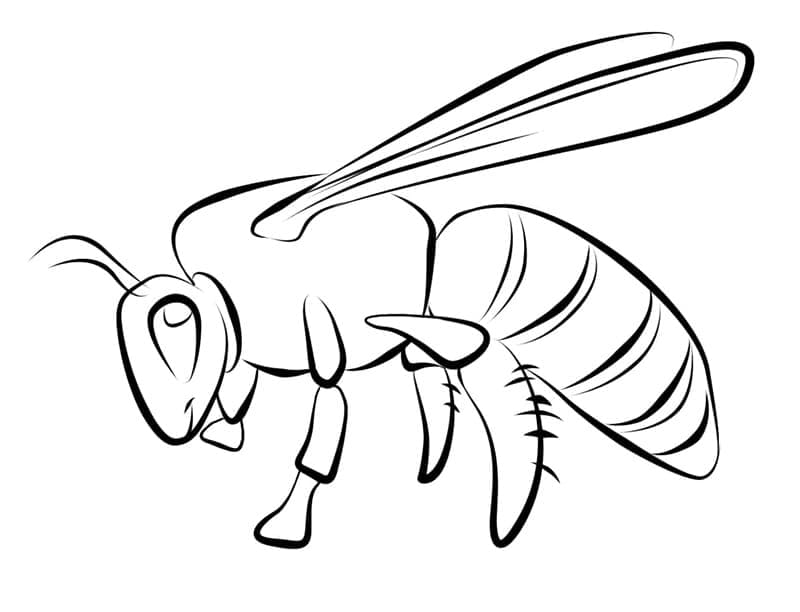 Tô màu Con Ong Mật 1 Tô màu Con Ong Mật cho bé tập tô
