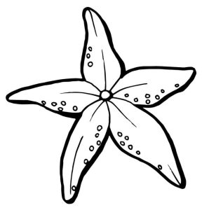 Tô màu Con Sao Biển Đơn Giản cho bé tập tô