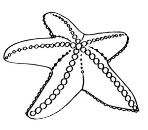 Tô màu Con Sao Biển Lớn cho bé tập tô