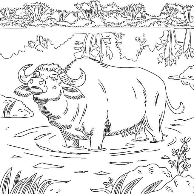 Tô màu Con Trâu Ngẩng Đầu Lên cho bé tập tô