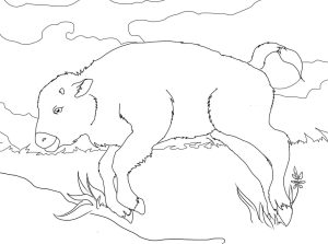 Tô màu Con Trâu Rừng Con giúp bé rèn luyện khả năng tô màu