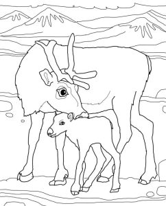 Tô màu Con Tuần Lộc Mẹ và Con cho bé tập tô
