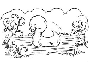 Tô màu Con Vịt Con Đang Bơi giúp bé rèn luyện khả năng tô màu