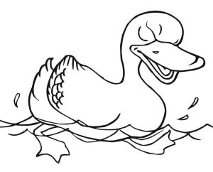 Tô màu Con Vịt Đang Bơi dễ thương cho bé
