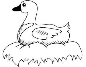 Tô màu Con Vịt Trong Tổ cho bé tập tô