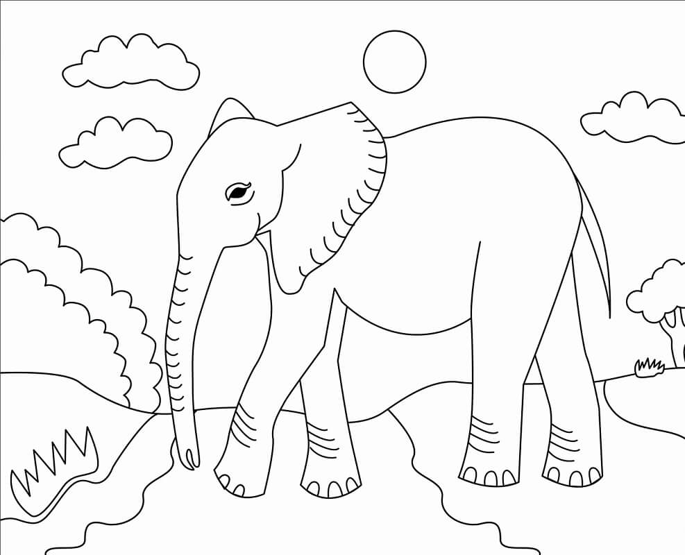 Tô màu Con Voi và Thiên Nhiên 1 Tô màu Con Voi và Thiên Nhiên cho bé tập tô