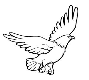 Tô màu Đại Bàng Đang Bay giúp bé rèn luyện khả năng tô màu