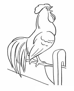 Tô màu Gà Trống Trên Hàng Rào giúp bé rèn luyện khả năng tô màu