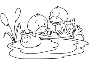 Tô màu Hai Con Vịt Con dễ thương cho bé