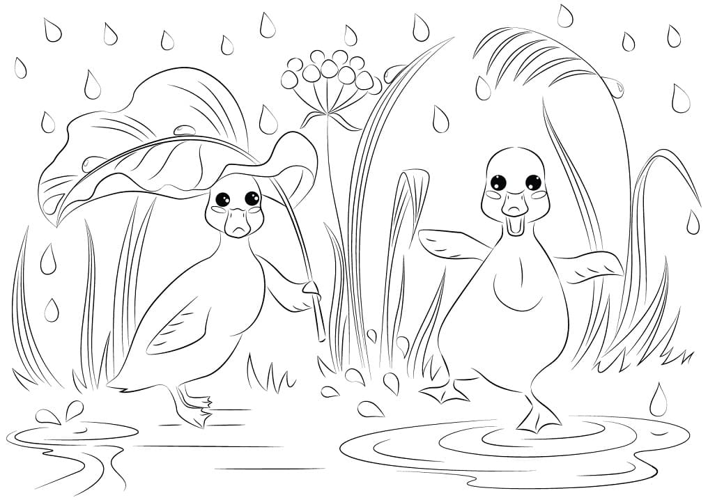 Tô màu Hai Con Vịt Ngộ Nghĩnh 1 Tô màu Hai Con Vịt Ngộ Nghĩnh cho bé tập tô