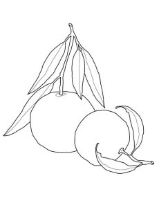 Tô màu Hai Quả Cam giúp bé rèn luyện khả năng tô màu