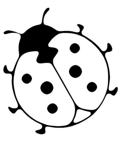 Tô màu Hình Vẽ Bọ Cánh Cam 1 Tô màu Hình Vẽ Bọ Cánh Cam cho bé tập tô