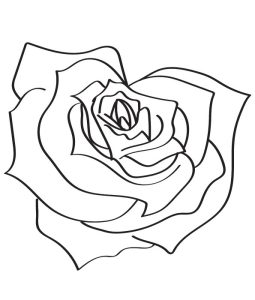Tô màu hoa hồng hình trái tim cho bé tập tô