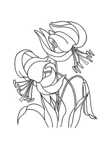 Tô màu Hoa Loa Kèn Đơn Giản cho bé tập tô