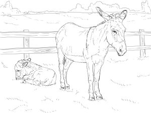 Tô màu Mẹ Con Lừa cho bé tập tô