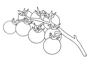 Tô màu Một Chùm Quả Cà Chua dễ thương cho bé