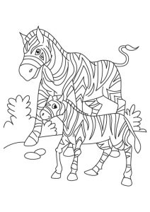 Tô màu Ngựa Vằn Mẹ và Con cho bé tập tô