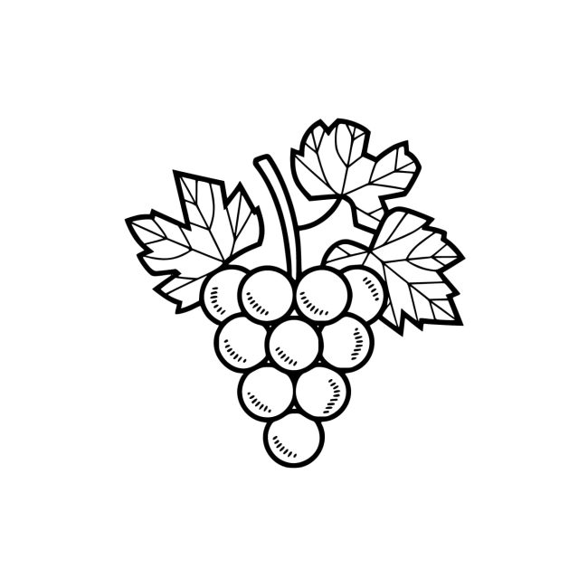 Tô màu Nho Đơn Giản dễ thương cho bé