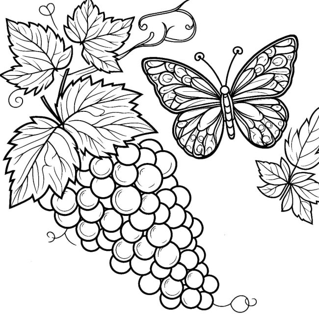 Tô màu Nho Và Con Bướm giúp bé rèn luyện khả năng tô màu